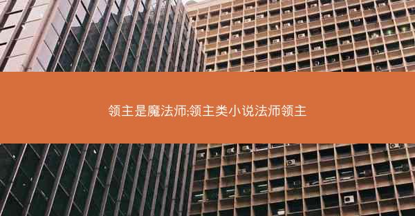 领主是魔法师;领主类小说法师领主