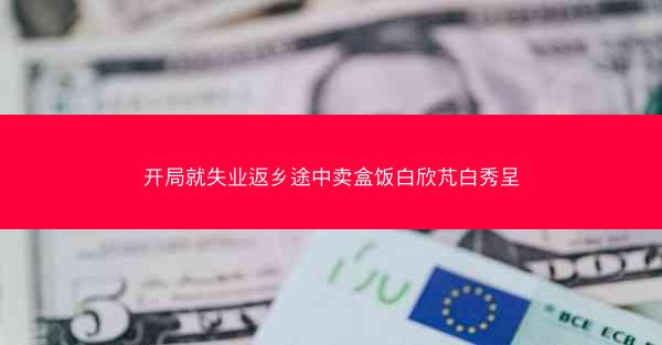 开局就失业返乡途中卖盒饭白欣芃白秀呈