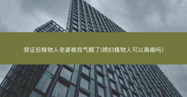 领证后植物人老婆被我气醒了(媳妇植物人可以离婚吗)