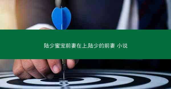 陆少蜜宠前妻在上,陆少的前妻 小说