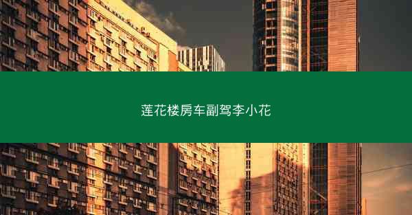 莲花楼房车副驾李小花
