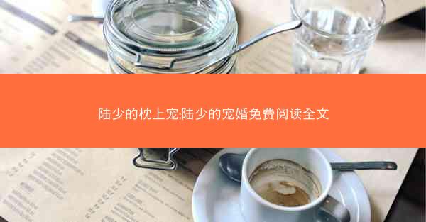 陆少的枕上宠;陆少的宠婚免费阅读全文 陆少的枕上宠;陆少的宠婚免费阅读全文
