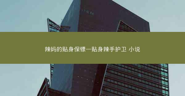 辣妈的贴身保镖—贴身辣手护卫 小说