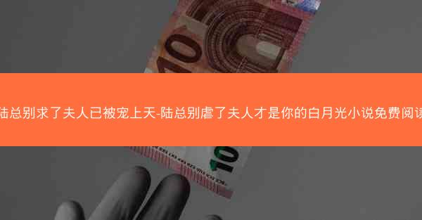陆总别求了夫人已被宠上天-陆总别虐了夫人才是你的白月光小说免费阅读