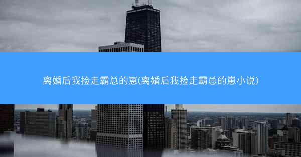 离婚后我捡走霸总的崽(离婚后我捡走霸总的崽小说)