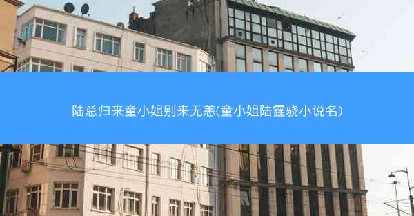 陆总归来童小姐别来无恙(童小姐陆霆骁小说名)