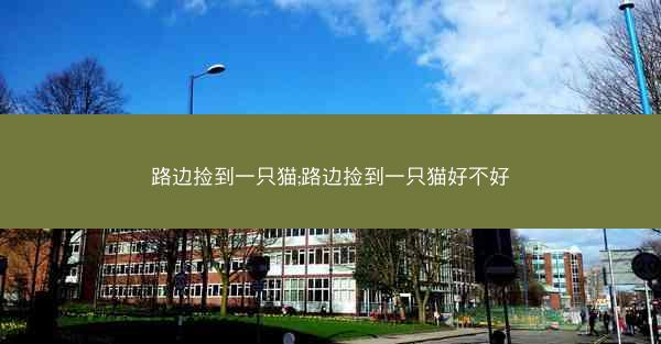 路边捡到一只猫;路边捡到一只猫好不好