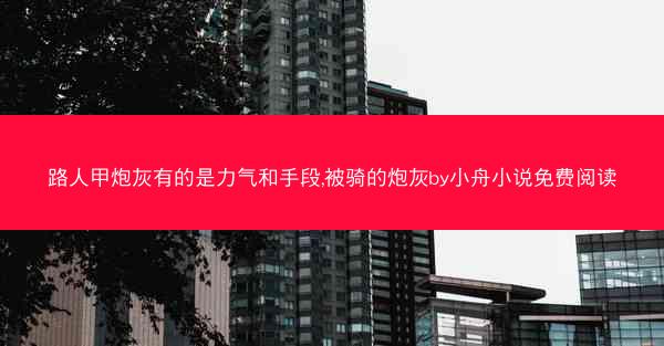 路人甲炮灰有的是力气和手段,被骑的炮灰by小舟小说免费阅读