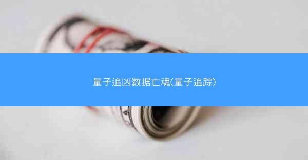 量子追凶数据亡魂(量子追踪)