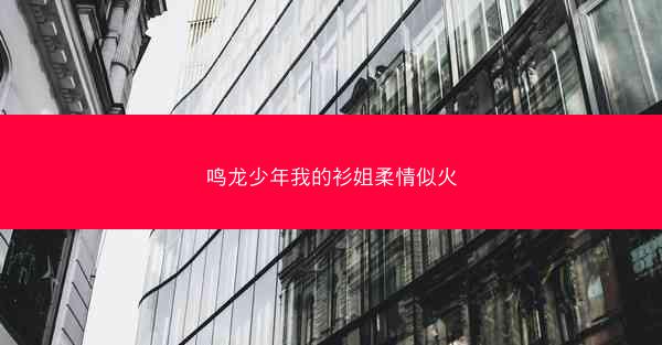 鸣龙少年我的衫姐柔情似火