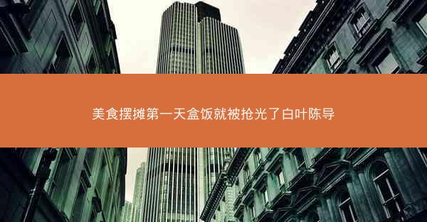 美食摆摊第一天盒饭就被抢光了白叶陈导
