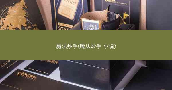 魔法炒手(魔法炒手 小说)