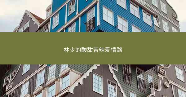林少的酸甜苦辣爱情路