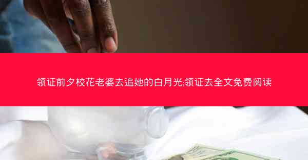领证前夕校花老婆去追她的白月光;领证去全文免费阅读