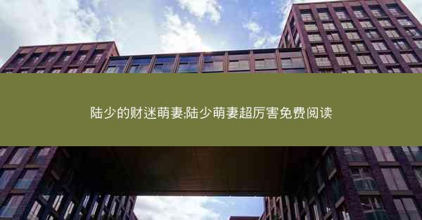 陆少的财迷萌妻;陆少萌妻超厉害免费阅读