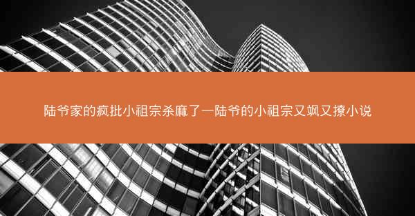陆爷家的疯批小祖宗杀麻了—陆爷的小祖宗又飒又撩小说
