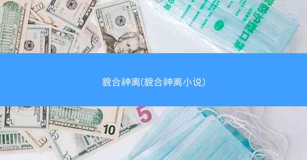 貌合神离(貌合神离小说)