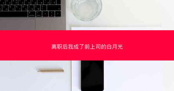 离职后我成了前上司的白月光