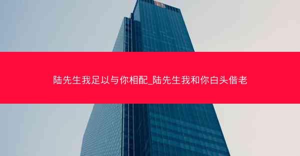 陆先生我足以与你相配_陆先生我和你白头偕老