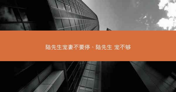陆先生宠妻不要停、陆先生 宠不够
