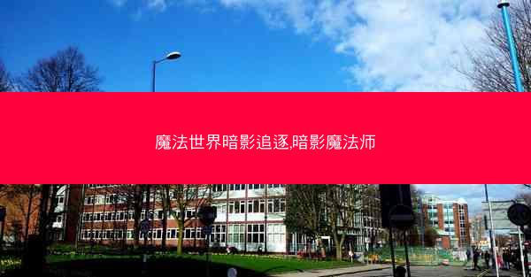 魔法世界暗影追逐,暗影魔法师