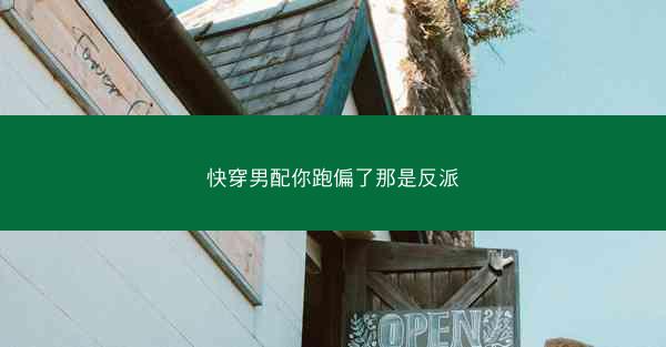 快穿男配你跑偏了那是反派 快穿男配你跑偏了那是反派