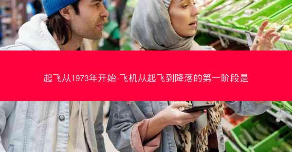 起飞从1973年开始-飞机从起飞到降落的第一阶段是