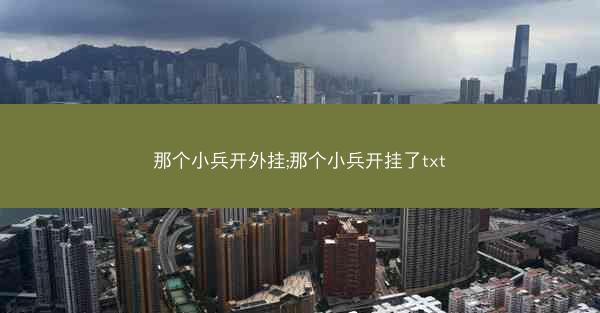 那个小兵开外挂;那个小兵开挂了txt