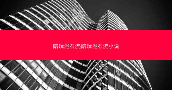 陪玩泥石流;陪玩泥石流小说