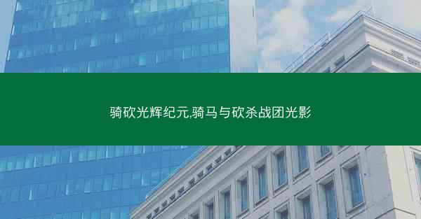 骑砍光辉纪元,骑马与砍杀战团光影