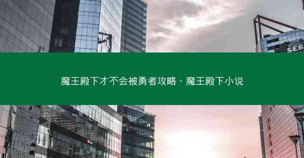魔王殿下才不会被勇者攻略、魔王殿下小说