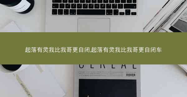起落有灵我比我哥更自闭,起落有灵我比我哥更自闭车