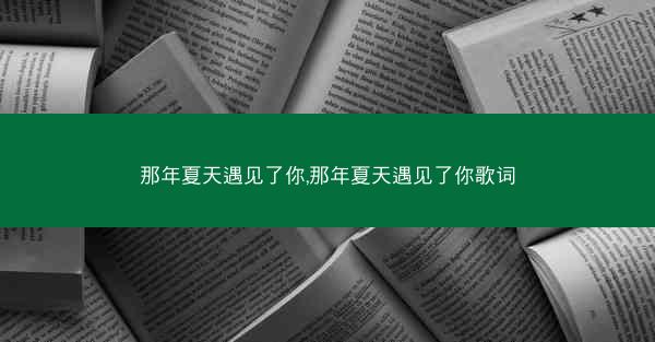 那年夏天遇见了你,那年夏天遇见了你歌词