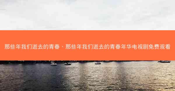 那些年我们逝去的青春、那些年我们逝去的青春年华电视剧免费观看