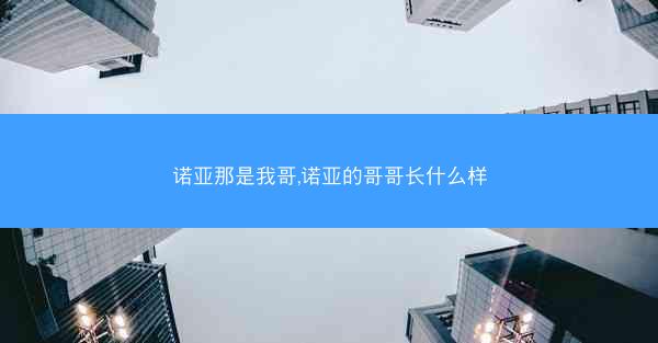 诺亚那是我哥,诺亚的哥哥长什么样