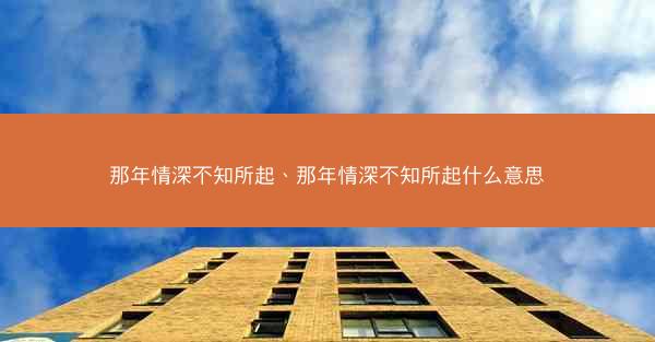 那年情深不知所起、那年情深不知所起什么意思