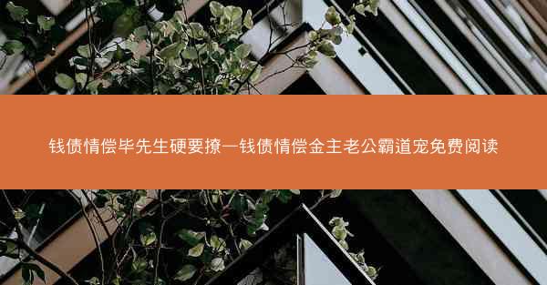 钱债情偿毕先生硬要撩—钱债情偿金主老公霸道宠免费阅读