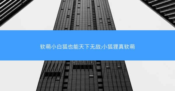 软萌小白狐也能天下无敌;小狐狸真软萌
