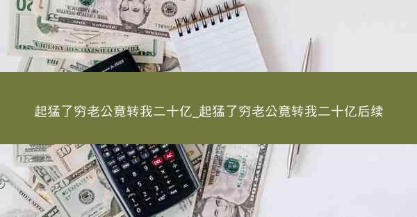 起猛了穷老公竟转我二十亿_起猛了穷老公竟转我二十亿后续