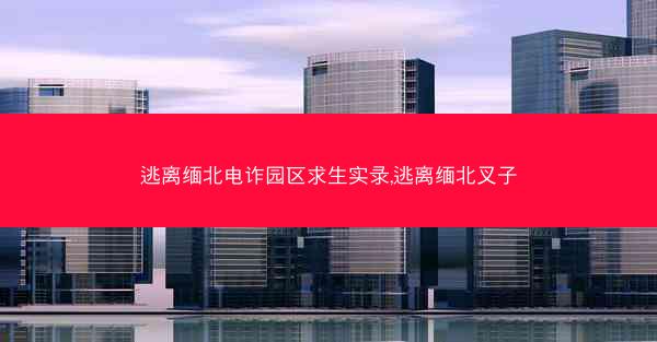逃离缅北电诈园区求生实录,逃离缅北叉子
