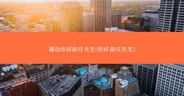 骚动你好前任先生(你好,前任先生)