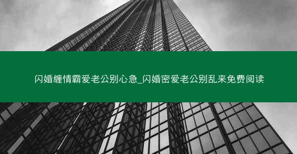 闪婚缠情霸爱老公别心急_闪婚密爱老公别乱来免费阅读
