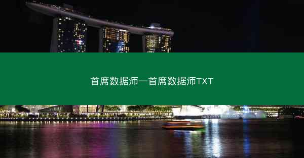首席数据师—首席数据师TXT