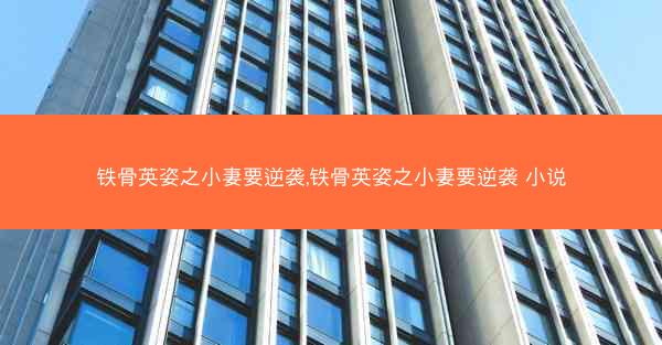 铁骨英姿之小妻要逆袭,铁骨英姿之小妻要逆袭 小说