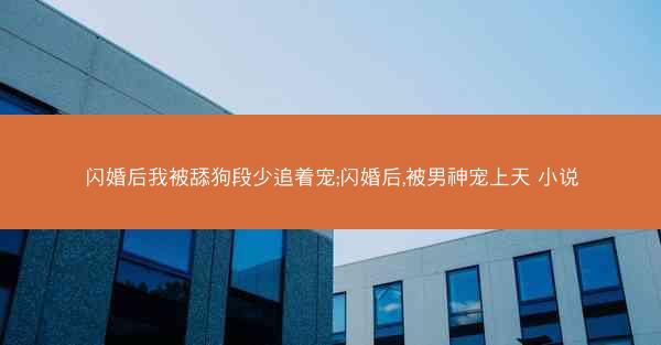 闪婚后我被舔狗段少追着宠;闪婚后,被男神宠上天 小说