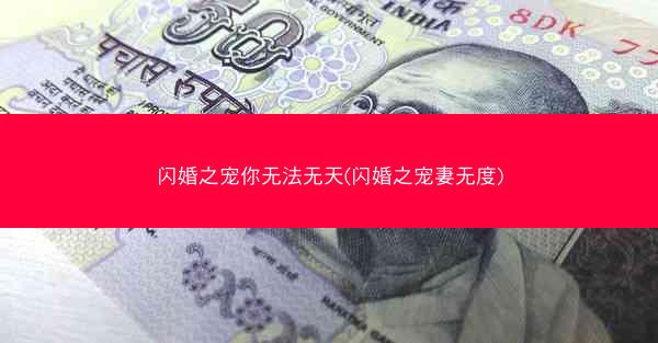 闪婚之宠你无法无天(闪婚之宠妻无度)