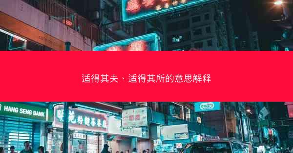 适得其夫、适得其所的意思解释