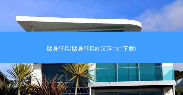 贴身狂兵(贴身狂兵叶沉浮TXT下载)