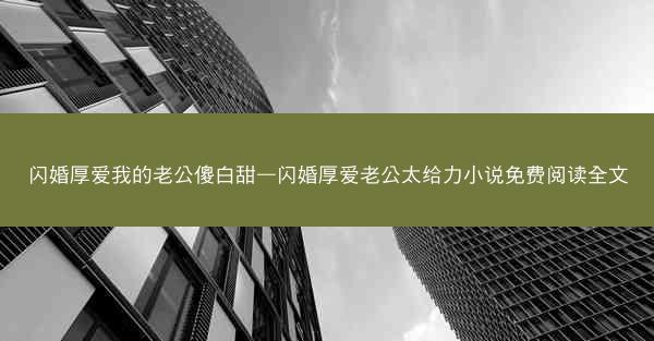 闪婚厚爱我的老公傻白甜—闪婚厚爱老公太给力小说免费阅读全文