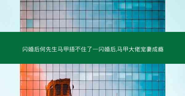 闪婚后何先生马甲捂不住了—闪婚后,马甲大佬宠妻成瘾